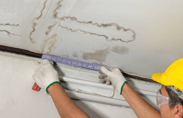 Reliable Water Damage contractor in Louisville, IL by Water Damage Irwin